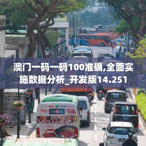 澳门一码一码100准确,全面实施数据分析_开发版14.251