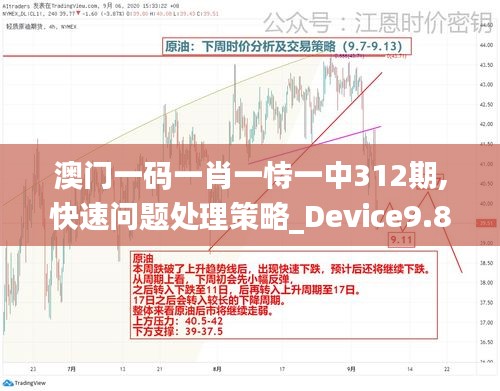 澳门一码一肖一恃一中312期,快速问题处理策略_Device9.828