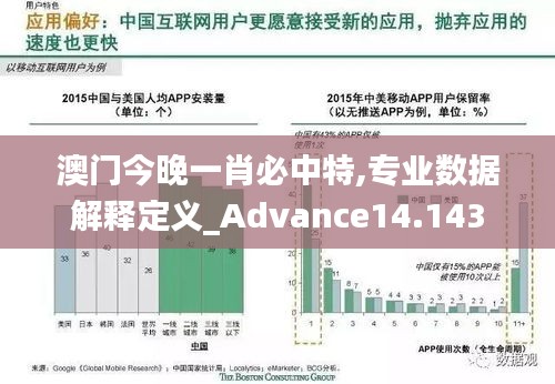 澳门今晚一肖必中特,专业数据解释定义_Advance14.143