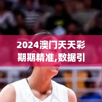 2024澳门天天彩期期精准,数据引导策略解析_V210.260