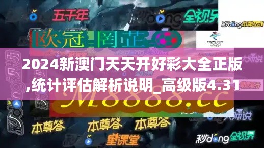 2024新澳门天天开好彩大全正版,统计评估解析说明_高级版4.313