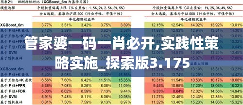 管家婆一码一肖必开,实践性策略实施_探索版3.175