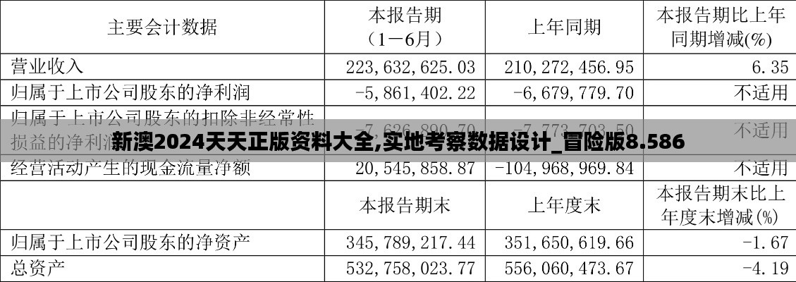 新澳2024天天正版资料大全,实地考察数据设计_冒险版8.586