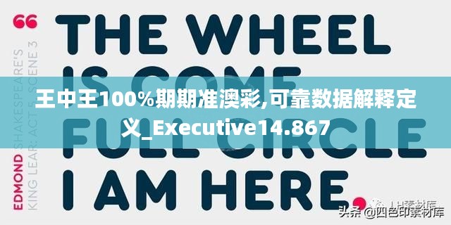 王中王100%期期准澳彩,可靠数据解释定义_Executive14.867