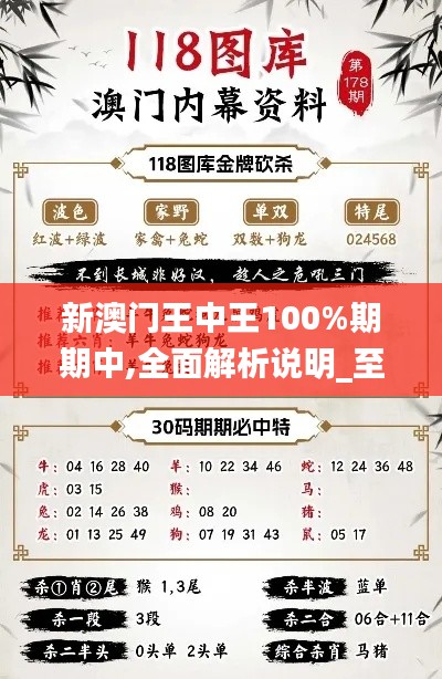 新澳门王中王100%期期中,全面解析说明_至尊版9.578