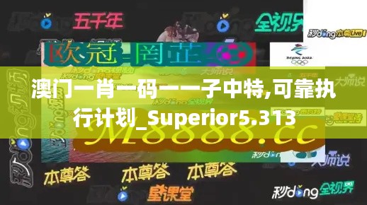 澳门一肖一码一一子中特,可靠执行计划_Superior5.313