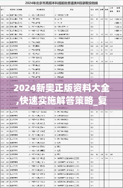 2024新奥正版资料大全,快速实施解答策略_复古款4.675