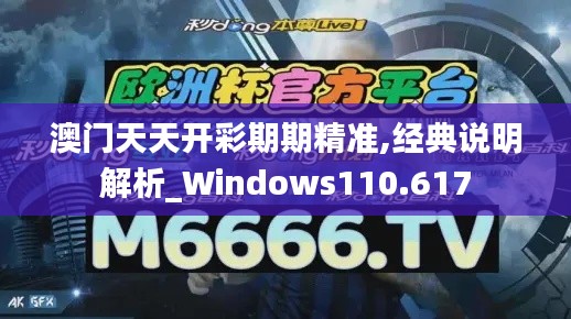 澳门天天开彩期期精准,经典说明解析_Windows110.617