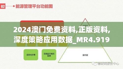 2024澳门免费资料,正版资料,深度策略应用数据_MR4.919