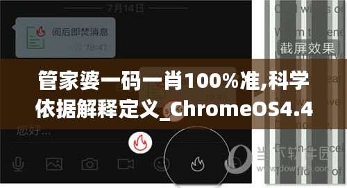 管家婆一码一肖100%准,科学依据解释定义_ChromeOS4.478