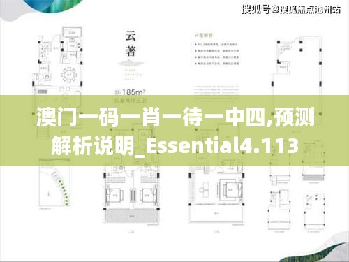 澳门一码一肖一待一中四,预测解析说明_Essential4.113