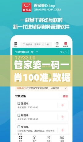 管家婆一码一肖100准,数据导向计划设计_VR8.999