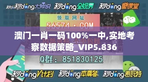 澳门一肖一码100%一中,实地考察数据策略_VIP5.836