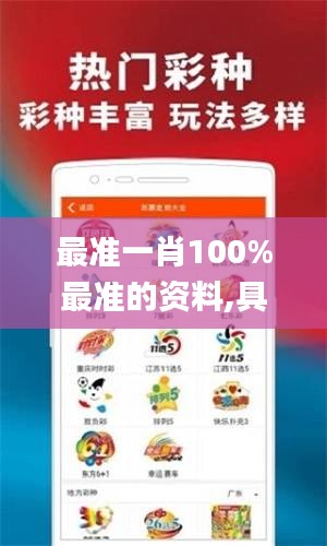 最准一肖100%最准的资料,具体实施指导_WP10.335