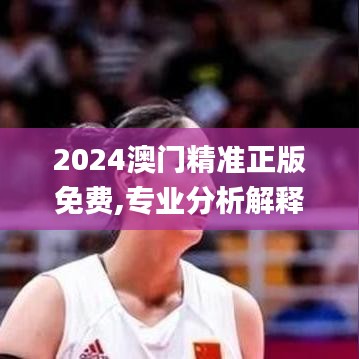 2024澳门精准正版免费,专业分析解释定义_PT1.253