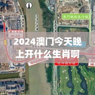 2024澳门今天晚上开什么生肖啊,实地执行数据分析_扩展版6.285