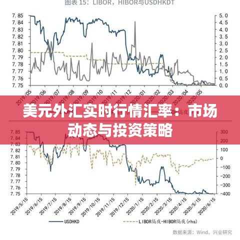 美元外汇实时行情汇率：市场动态与投资策略