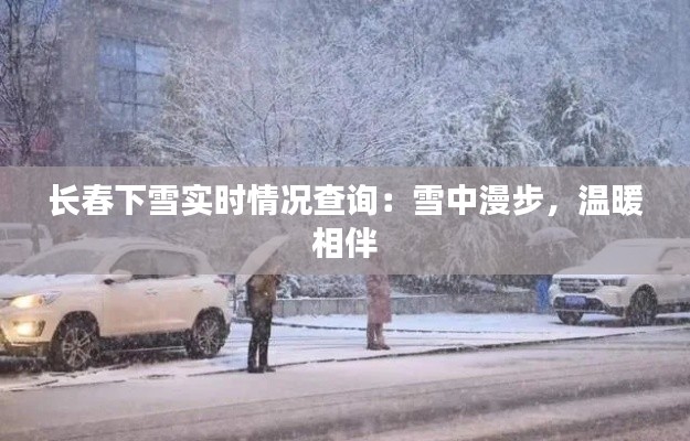 长春下雪实时情况查询：雪中漫步，温暖相伴