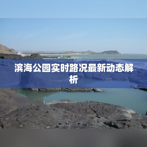 滨海公园实时路况最新动态解析