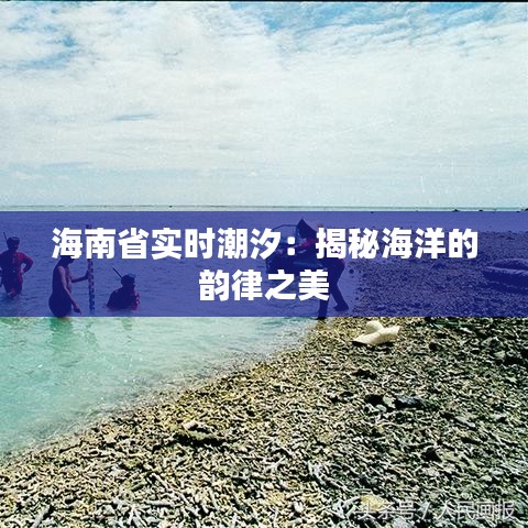 海南省实时潮汐：揭秘海洋的韵律之美