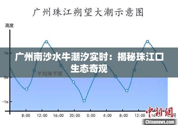 广州南沙水牛潮汐实时：揭秘珠江口生态奇观