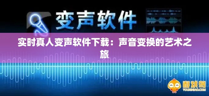 实时真人变声软件下载：声音变换的艺术之旅