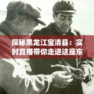 探秘黑龙江宝清县：实时直播带你走进这座东北边陲小镇