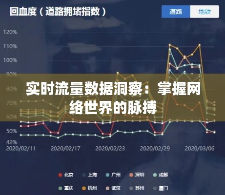 实时流量数据洞察：掌握网络世界的脉搏