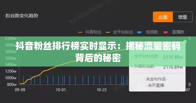 抖音粉丝排行榜实时显示：揭秘流量密码背后的秘密