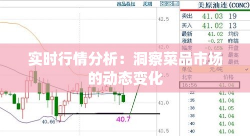 实时行情分析：洞察菜品市场的动态变化