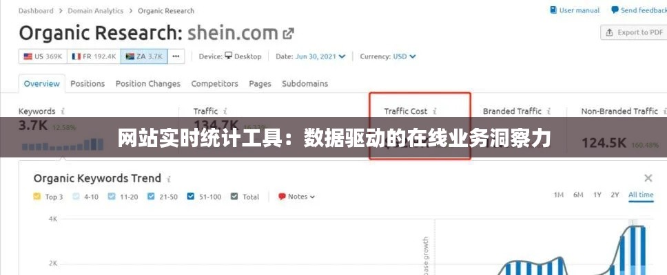 网站实时统计工具：数据驱动的在线业务洞察力