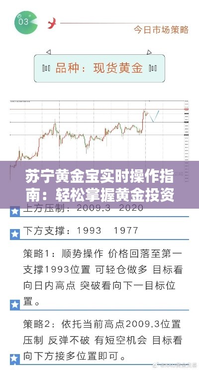 苏宁黄金宝实时操作指南：轻松掌握黄金投资新利器