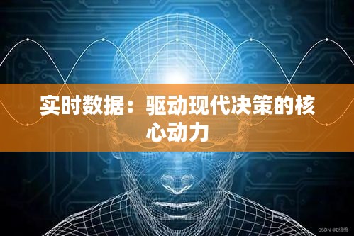 实时数据：驱动现代决策的核心动力