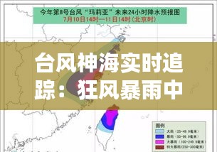 台风神海实时追踪：狂风暴雨中的预警与应对