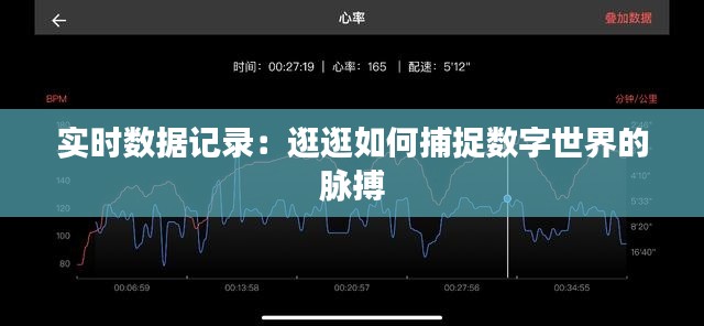 实时数据记录：逛逛如何捕捉数字世界的脉搏