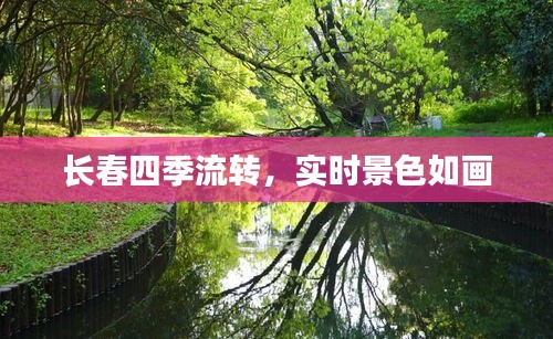 长春四季流转，实时景色如画