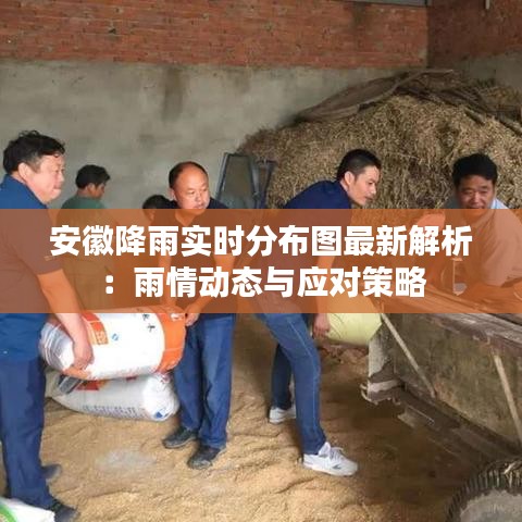 安徽降雨实时分布图最新解析：雨情动态与应对策略