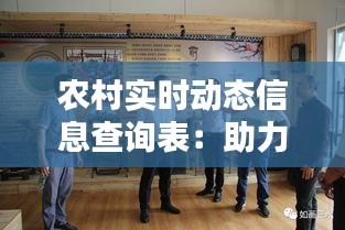 农村实时动态信息查询表：助力乡村振兴的智慧纽带