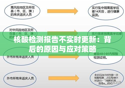 核酸检测报告不实时更新：背后的原因与应对策略