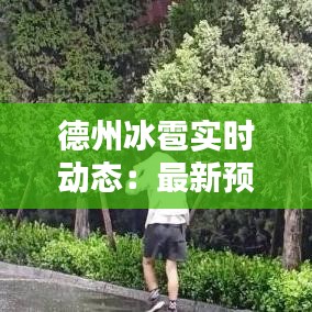 德州冰雹实时动态：最新预警与应对措施