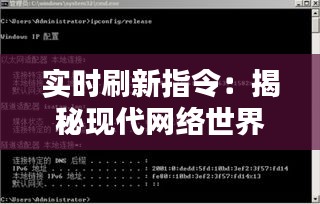 实时刷新指令：揭秘现代网络世界的快速响应机制