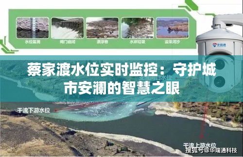 蔡家渡水位实时监控：守护城市安澜的智慧之眼