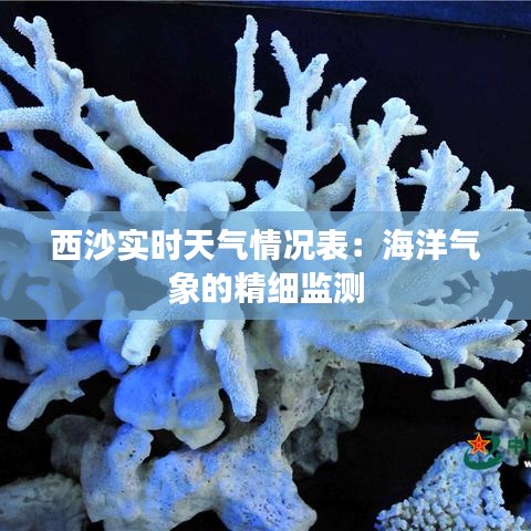 西沙实时天气情况表：海洋气象的精细监测