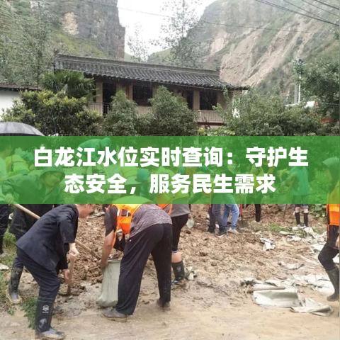 白龙江水位实时查询：守护生态安全，服务民生需求