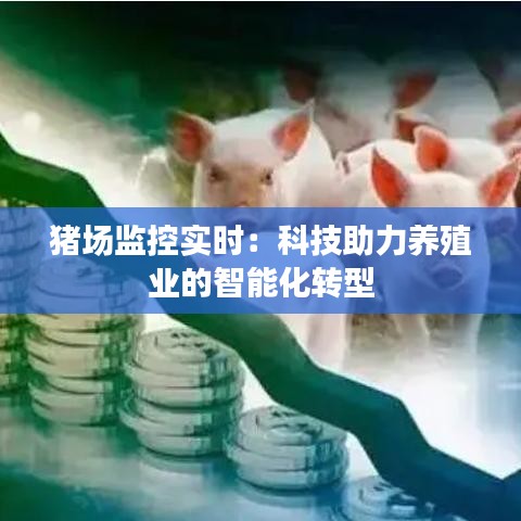 猪场监控实时：科技助力养殖业的智能化转型