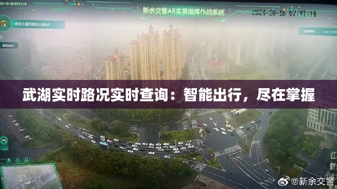 武湖实时路况实时查询：智能出行，尽在掌握