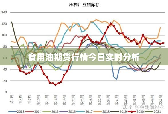 食用油期货行情今日实时分析