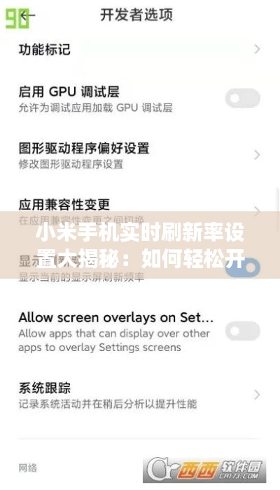 小米手机实时刷新率设置大揭秘：如何轻松开启智能调节