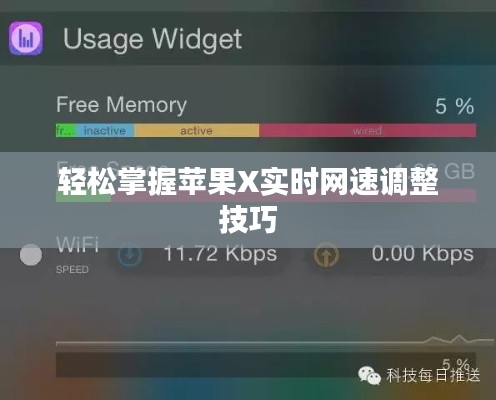 轻松掌握苹果X实时网速调整技巧