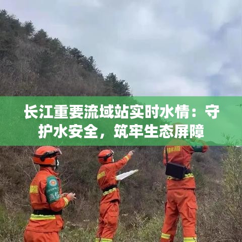 长江重要流域站实时水情：守护水安全，筑牢生态屏障